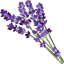 Cute Cursor - Lavender and Wildflowers Collection default cursor