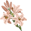 Lily Cursor Pack default cursor
