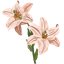 Lily Cursor Pack pointer cursor
