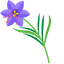 Cute Cursor Lobelias default cursor
