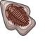 Trilobite Fossil default cursor