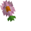 Moolip Pink Daisy default cursor