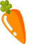 Carrot Minimal pointer cursor