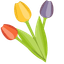 Netherlands Tulips default cursor