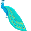 Peacock pointer cursor