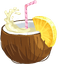 Summer Splash pointer cursor