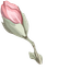 Enchanted Cute Cursor Pack default cursor