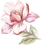 Enchanted Cute Cursor Pack pointer cursor