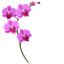 Custom Cute Cursor Pack default cursor