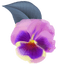 Cute Pansy Cursor Pack default cursor