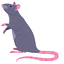 Pet Rat default cursor
