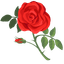 Custom Cursor Pack - Rosy Romance pointer cursor