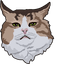 Rexie Cat default cursor