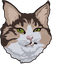 Rexie Cat pointer cursor