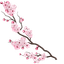 Sakura Cursor Pack default cursor