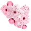 Sakura Cursor Pack pointer cursor
