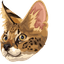 Savannah Cat default cursor
