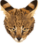 Savannah Cat pointer cursor