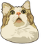 Scared Cat Meme default cursor