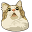 Scared Cat Meme pointer cursor