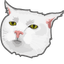 Serious White Cat pointer cursor