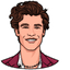 Shawn Mendes pointer cursor