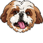 Shih Tzu pointer cursor