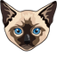 Siamese Cat default cursor