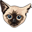 Siamese Cat pointer cursor