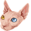 Sphynx Snuggle default cursor