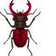 Stag Beetle pointer cursor