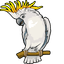 Cockatoo default cursor