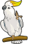 Cockatoo pointer cursor
