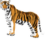 Tiger default cursor