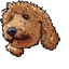 Toy Poodle default cursor