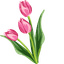 Tulip Cursor Pack for Windows default cursor