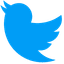 Twitter default cursor