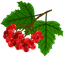 Custom Cute Viburnum Cursor Pack pointer cursor