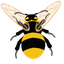 Bumblebee default cursor