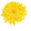 Dandelion Delight Cursor Pack pointer cursor
