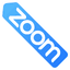Zoom default cursor