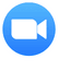 Zoom pointer cursor