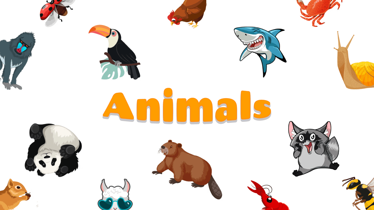 Animals custom cursor collection preview