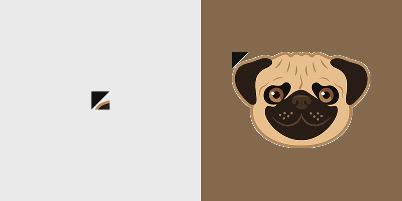 Pug Dog