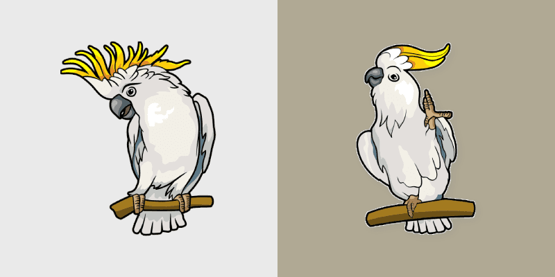 Cockatoo