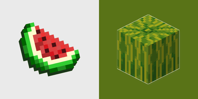 Melon Slice