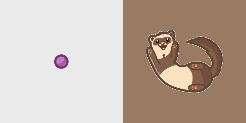 Charming Cute Ferret