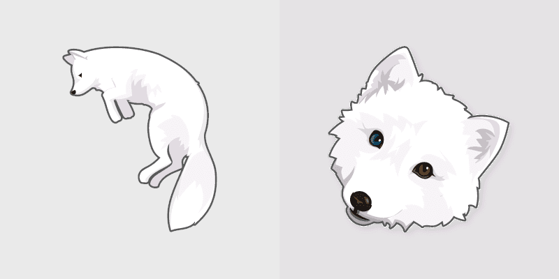 Arctic Fox
