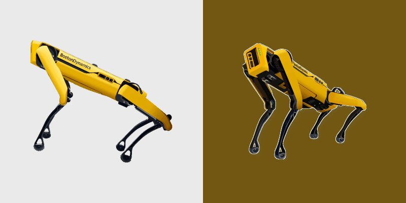 Boston Spot Robot