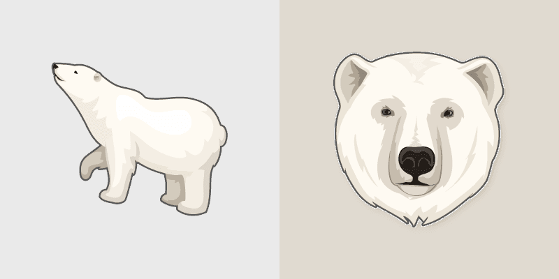 Polar Bear